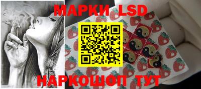a pvp Кингисепп