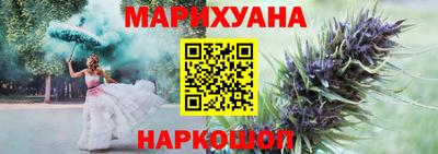 a pvp Кингисепп