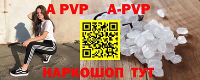 a pvp Кингисепп