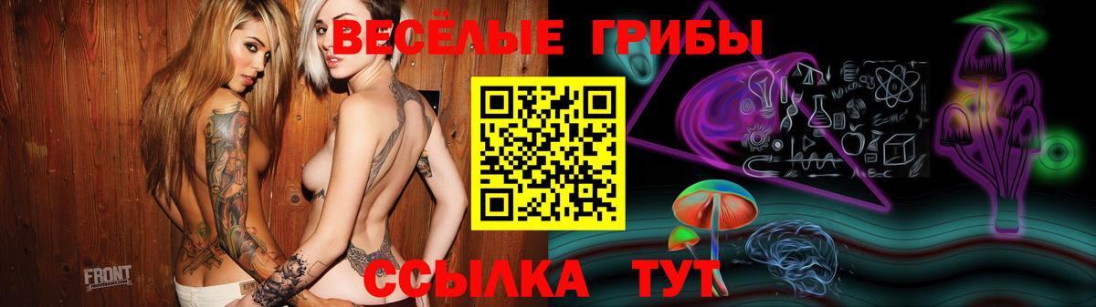 Галлюциногенные грибы Psilocybine cubensis  Вход с VPN  Псилоцибиновые грибы Psilocybe  Кудымкар 