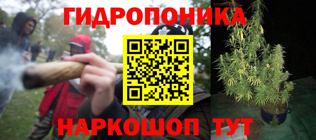 Марихуана тримм Кудымкар